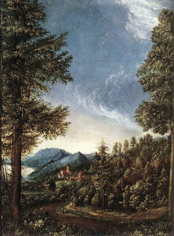 ALTDORFER, Albrecht Danubian Landscape g Spain oil painting art